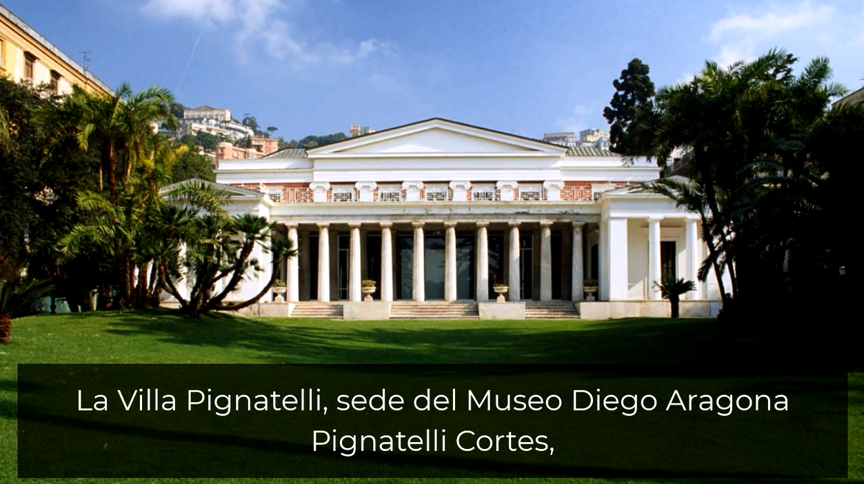 Risorse per l’accessibilità. Il Museo Pignatelli